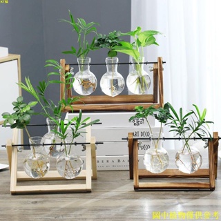 KT台品#創意木架桌面水培玻璃花瓶養綠蘿植物花盆容器擺件辦公室客廳裝飾