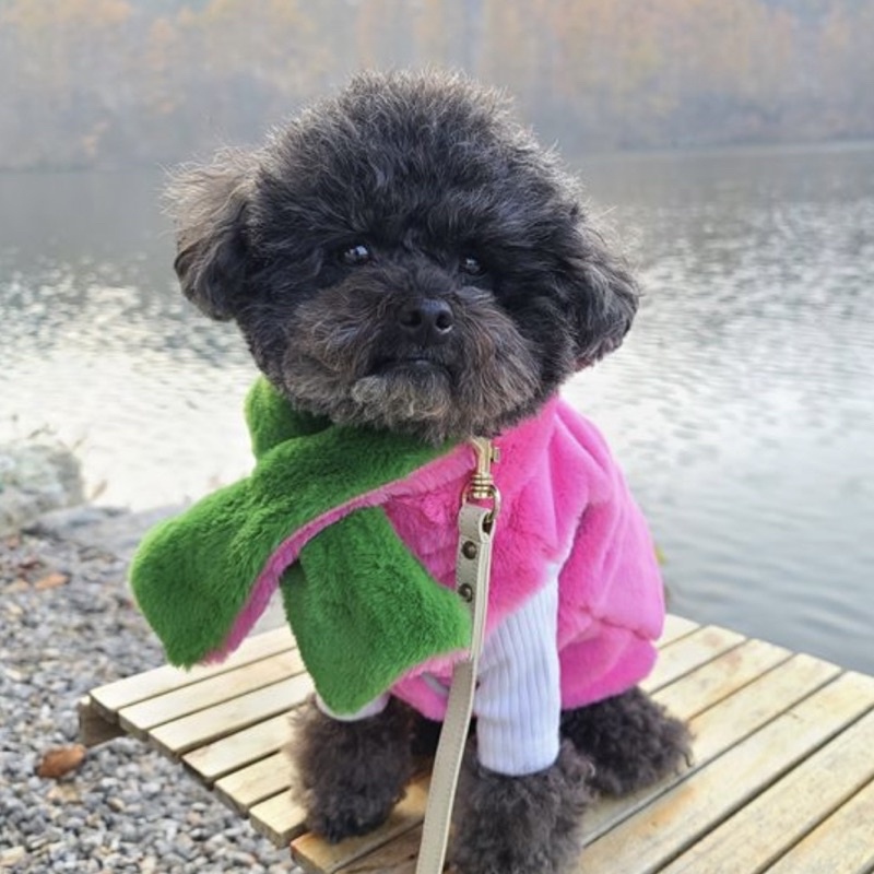 韓國🇰🇷 NOUnNOU  著迷 時髦 露肚毛皮大衣 2個顏色  保暖 時尚 毛絨絨