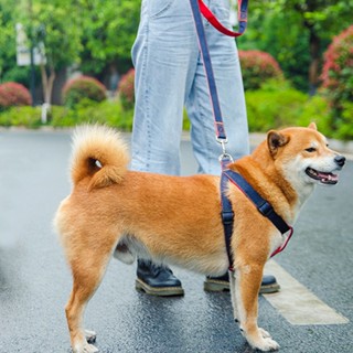 小小寵愛 狗狗牽引繩 狗鏈子遛狗繩項圈 背帶幼犬小型中型犬泰迪 柯基寵物用品