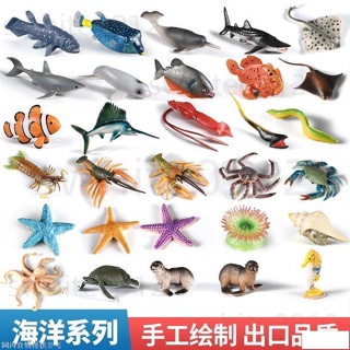 『台灣免運』 迷你仿真實心海洋海底生物動物玩具 野生靜態龍蝦海星海狗海獅海龜螃蟹模型擺件手辦