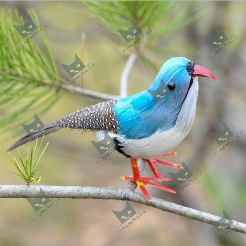 Shenglong模型/紅腳珍珠鳥仿真羽毛小鳥家居鳥籠裝飾園林擺件鳥攝影道具教學模型