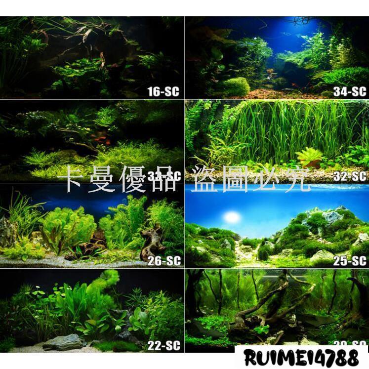 卡曼_魚缸背景紙3d立體高清圖貼畫造景水族箱5d壁紙南美亞馬遜沉木森林#魚缸背景紙-優