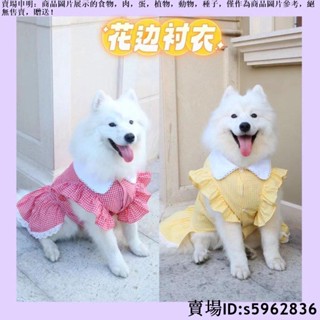 【熱賣免運】寵物小可愛大型狗衣服 公主花邊裙 泰迪貓咪狗狗公主裙 春夏襯衫