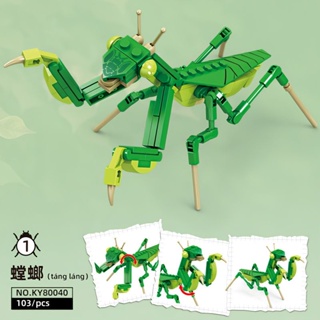 【臺灣熱銷款】兼容樂高崑蟲積木係列蜻蜓螳螂模型益智拚裝玩具兒童生日禮物6+
