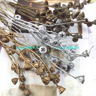 熱銷#永生花配件永生花diy乾花十字果桉樹果開心果金銀色尤加利果玻璃罩配材果實