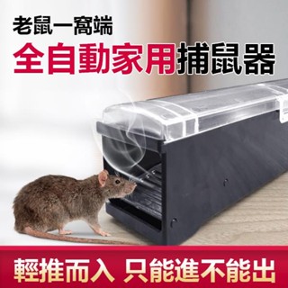 【闆娘生活好物】全自動捕鼠器 自動靈敏誘捕 鼠洞式捕鼠器 捕鼠器 捕鼠 捕鼠籠 捕鼠神器 滅鼠 驅鼠 老鼠籠 抓老鼠