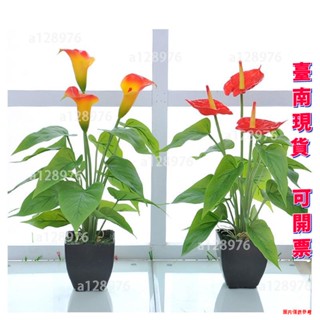 臺南免運 客製化 模擬盆栽 盆景裝飾 馬蹄蓮紅掌花 客廳裝飾花 塑膠花 拍攝道具