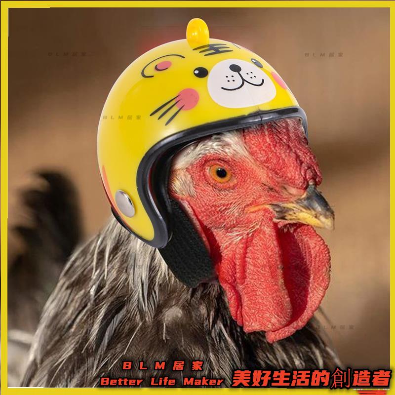 BLM 熱銷 小雞頭盔 小寵物安全帽 鳥鵪鶉鴿子帽 頭飾寵物鳥頭盔 DIY卡通人物頭盔 寵物用品1件