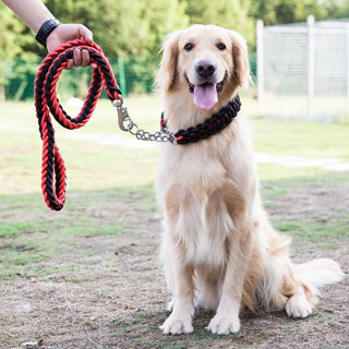 小小寵愛 狗狗牽引繩 狗鏈子遛狗繩項圈 中型大型犬金毛拉布拉多p鏈寵物用品