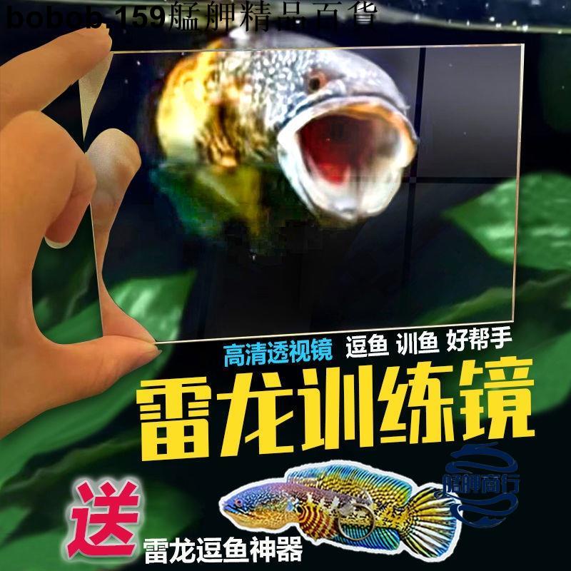 💕精品💕雷龍魚訓練鏡子 羅漢 鬥魚 雙面透明 鼓腮咬缸 外逗魚指環扣 專用透視鏡 艋舺109