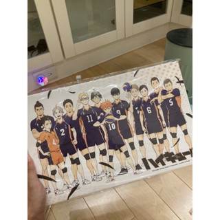 排球少年 無框畫 烏野 日向 影山 羚邦 漫博
