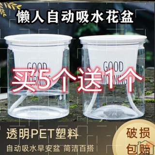 💖💖懶人花盆💖💖塑膠自吸水懶人盆綠蘿發財樹水培透明早安盆家用客廳花架子小花盆