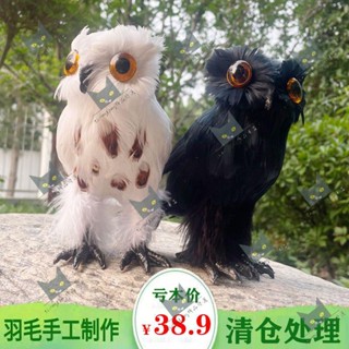 Shenglong模型/模擬貓頭鷹模型真羽毛COS哈利波特創意櫥窗陽臺裝飾攝影道具擺件