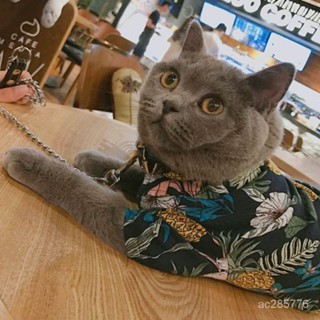 【優選好物】夏季薄款狗狗衣服春鞦裝泰迪博美比熊衣服幼犬貓咪寵物衣服夏威夷jioyh Q45B