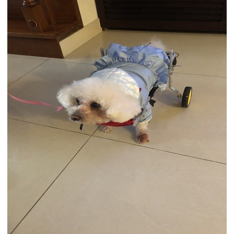 狗輪椅後肢癱瘓寵物代步車殘疾狗狗後腿輔助貓泰迪大型小型犬支架
