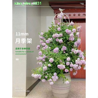 🚚免運🚚現貨☫爬藤架戶外陽臺月季鐵線蓮花柱花藤支架園藝風車茉莉花架子支撐桿