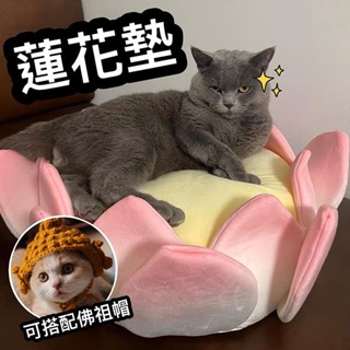 『台灣x現貨秒出』蓮花坐墊 寵物墊 貓咪蓮花坐墊 人寵共用 蓮花椅墊 貓咪墊 貓墊