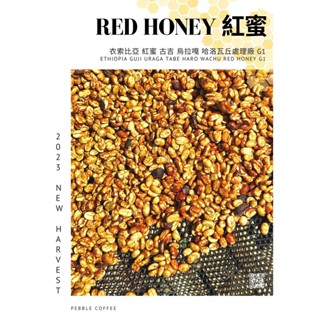 【荔枝、梔子花與蜂蜜香氣】紅蜜處理 衣索比亞 古吉 烏拉嘎 哈洛瓦丘處理廠G1 一磅裝 淺焙~淺中焙 圖騰咖啡專業烘焙