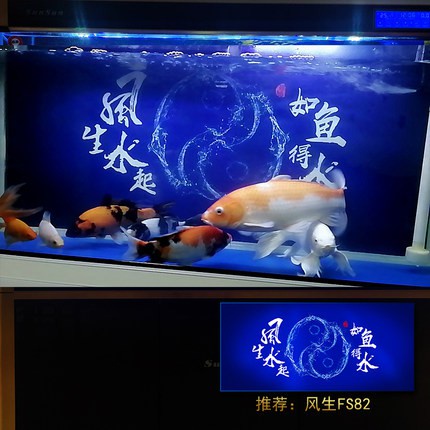 小資~魚缸背景紙畫高清圖3d立體壁紙壁畫造景水族箱貼紙5d裝飾自粘免膠