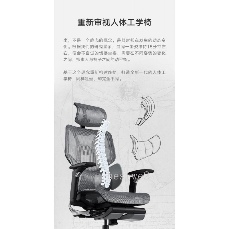 【免運下殺 】黑白調E3三區護腰人體工學椅 電腦椅 舒適 辦公椅 久坐 老闆椅 電競椅