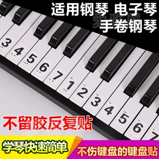 (台灣出貨) 鋼琴鍵盤貼紙88鍵61電子琴手卷琴鍵五線譜簡譜按鍵音符音標數字貼