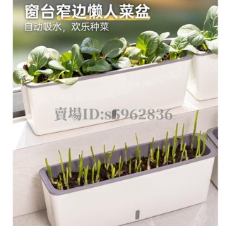 臺灣熱賣🌈#長方形種菜盆 #塑膠長條花槽盆 #長方形花盆 陽臺菜盆種菜盆專用箱室內宿舍長條種多肉花槽窄小邊懶人種蔥