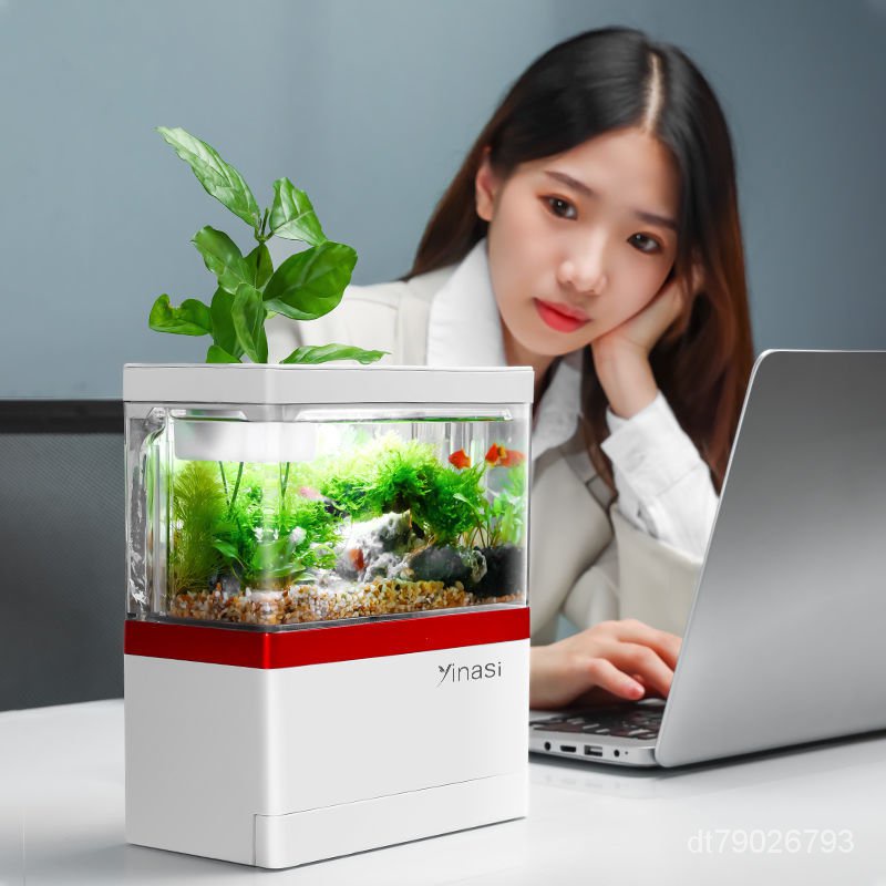 SQG迷你小魚缸創意桌面小型魚缸家用免換水微景觀造景生態小魚缸
