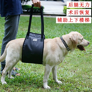 🔥台灣出貨🔥狗狗后腿輔助帶老年犬后肢助力器寵物牽引帶殘疾受傷無力走路樓梯 寵物用物