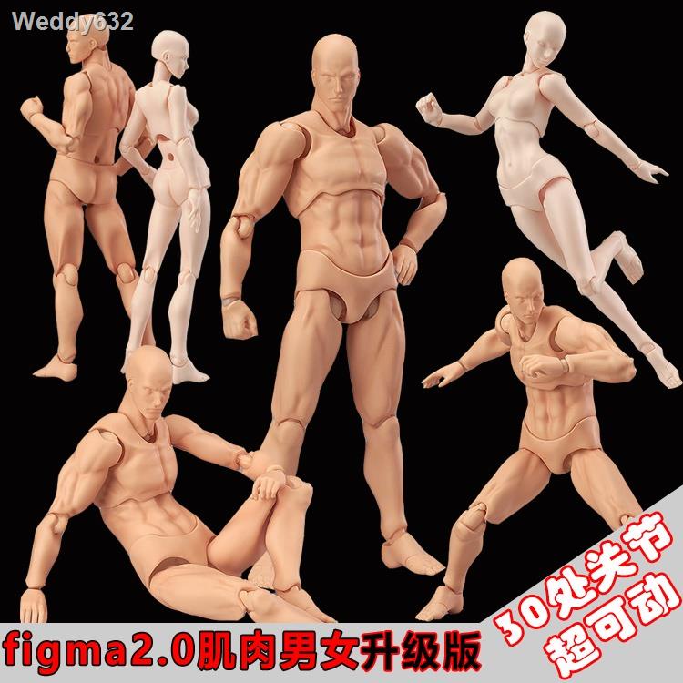 熱銷款現貨figma素體美術人體模型玩具日本人偶關節可動成人繪畫肌肉shf素體
