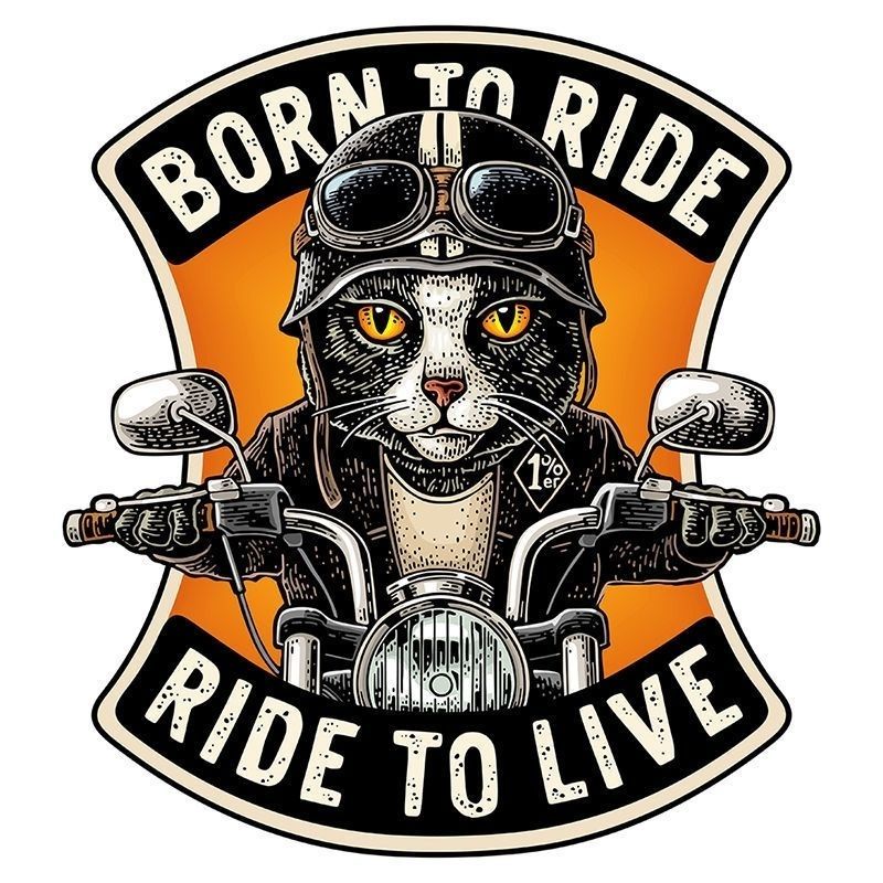 【FAIRY】貼紙 炫酷貓咪騎士創意車貼哈雷摩托車電動車裝飾貼個性網紅卡通防水貼