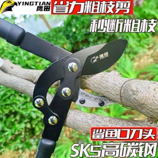 【免運 可開發票】粗枝剪修枝剪樹枝剪高枝剪伸縮剪強力剪原裝大力剪果樹修枝大剪刀Parke 鑫價鋪