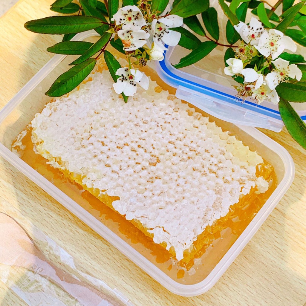【99免運】野生蜂巢蜜嚼著吃純正天然老巢蜜秦嶺農家自產土蜂蜜蜂窩蜜瓶裝斤