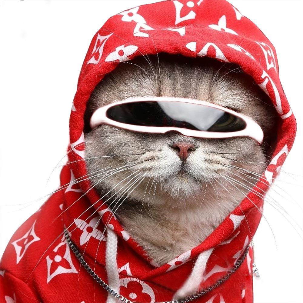 臺灣出貨 新款 貓咪眼鏡 寵物眼鏡 狗狗墨鏡 貓咪配飾 寵物配飾 搞怪 拍照 個性創意 塑料防風貓咪太陽鏡