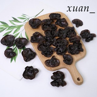 模擬模型 假水果模型 學校教具 假蔬菜模擬木耳假蘑菇模型蔬菜水果裝飾道具玩具果蔬兒童擺件塑膠黑木耳-需滿299出貨