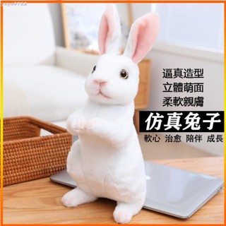 【YO】兔子玩偶 兔娃娃 兔子娃娃 小兔子娃娃 兔子抱枕 兔兔娃娃 模擬兔子玩偶 2023生肖小白兔年 吉祥物公仔 毛絨