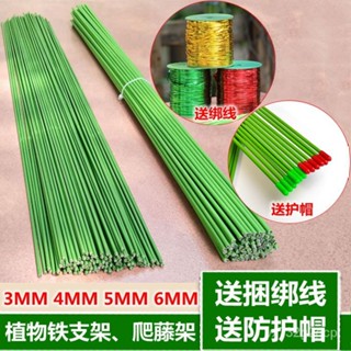 【臺灣熱賣/新店促銷】金綫樹支架蘭花架子造型鐵綫花卉支柱蔬菜瓜果爬藤支架植物支撐桿