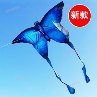 TW免運░水晶蝴蝶風箏3d立體長尾大人專業兒童分鐘易飛濰坊/親子戶外遊戲 夏季交換禮物