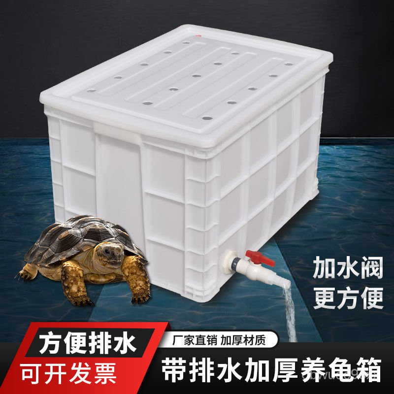 加厚塑料烏龜養殖箱 帶排水飼養箱 草龜鱷龜養魚盆 龜池孵化盒 加蓋子箱實用
