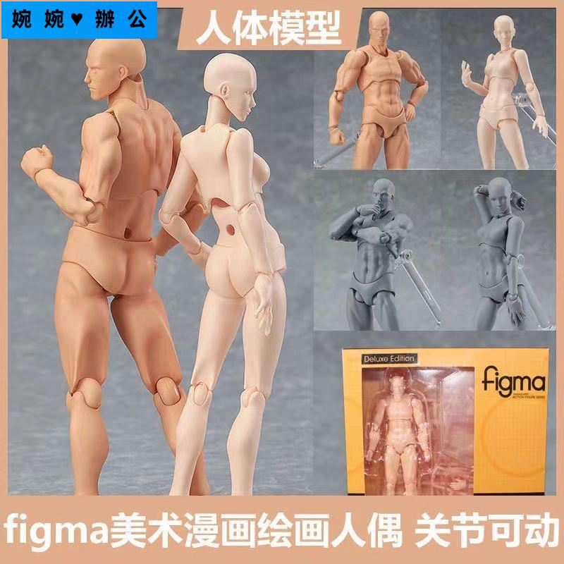 figma素體美術人體模型玩具日本人偶關節可動成人繪畫肌肉shf素體