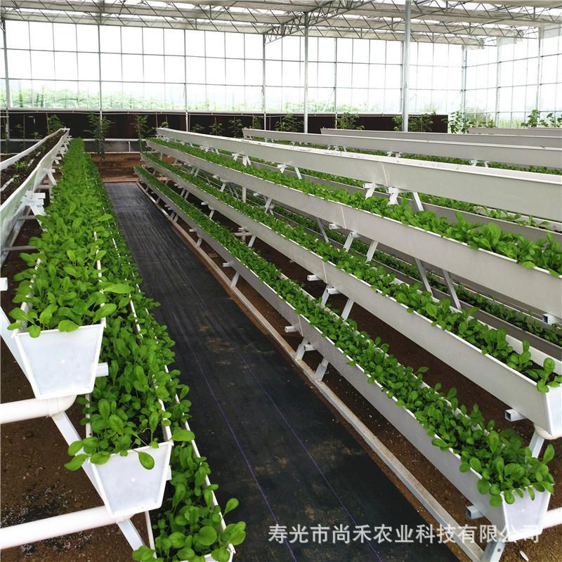 ✅量大優惠✅無土栽培基質培大棚立體種植架高架草莓栽培槽 PVC草莓種植槽係統