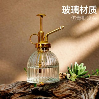 【臺灣熱賣】複古玻璃小噴壺氣壓式消毒清潔灑水壺傢用園藝澆花壺多肉噴霧瓶