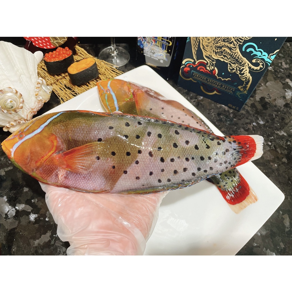 【鮮煮義美食街】鸚哥魚/紅尾盔魚