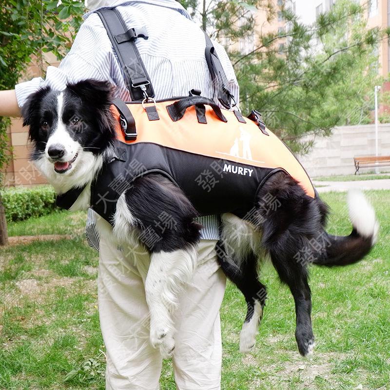 現貨/免運/新款雙肩背帶大型犬背包便攜式戶外助行寵物寵物外出包自背包大狗