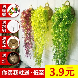 🍒模擬金鐘柳壁掛花藤塑膠綠植物墻吊蘭假花盆栽餐客廳幼兒園裝飾花