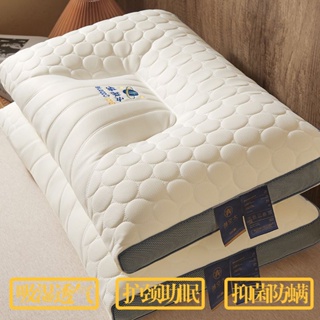 超軟枕頭枕芯一對裝家用枕芯雙人單人宿舍學生護頸椎枕芯助睡眠