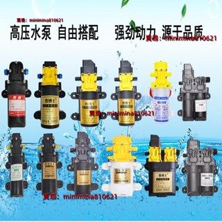 電動噴霧器水泵12v大功率通用高壓水泵電機打藥機配件雙核泵通用