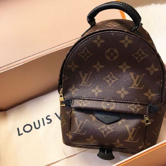 二手Louis Vuitton LV Palm Springs Mini monogram 後背包 M41562