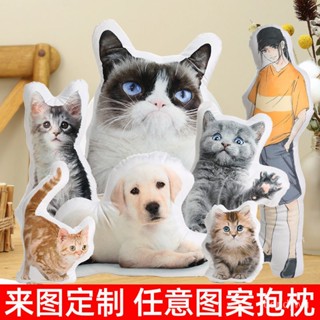 【優選精品】可愛貓咪狗來圖定製異形抱枕DIY禮物靠墊3D 照片定做靠枕動漫腰枕車用頭枕ins日韓風 EJUR