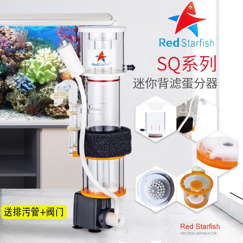 紅海星新款迷你蛋白質分離器 迷你蛋分 化氮器 DCSQ-50/70/90蛋分