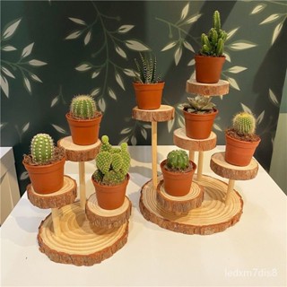 sqj 賣場精選👉原木風商品展示架店鋪陳列日式收納架圓形多層式拍照道具裝飾臺式 實木展示架 迷你展示架 木質展示架
